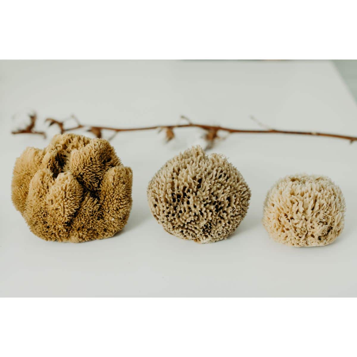 Eponge de bain naturelle – Image 6