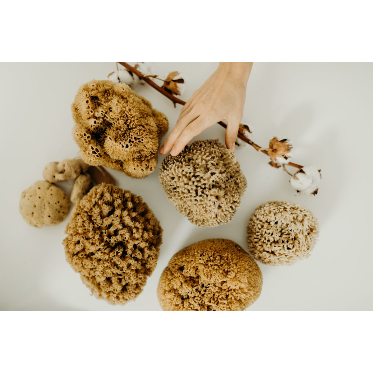 Eponge de bain naturelle – Image 9