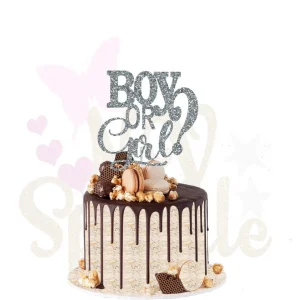 Cake Topper fille ou garçon baby shower