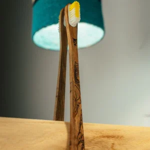 Brosse à dents de l'atelier Saluka fabriquée en Isère