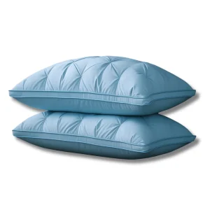 Lot de 2 Oreillers 50x70