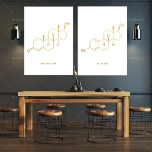Affiche moléculaire œstrogène toile imprimée médicale pour décoration étude