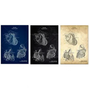 Toile anatomique cerveau cœur imprimée en canvas pour décoration médicale