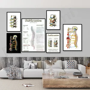 Poster colonne vertébrale sur toile santé anatomique pour décoration cabinet