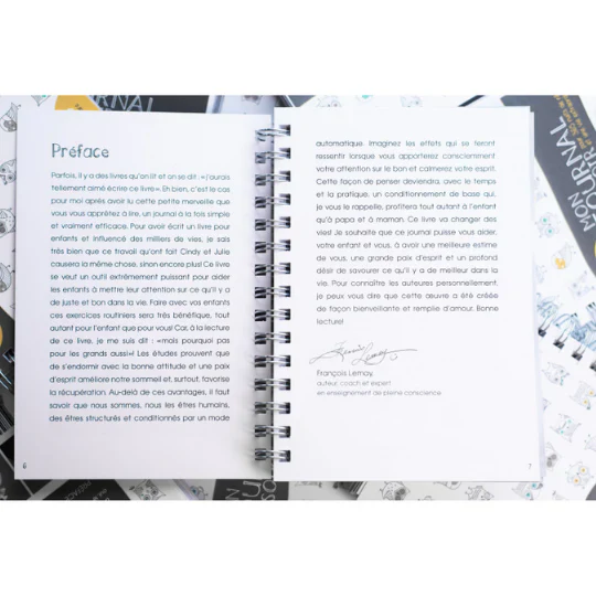 Journal de gratitude : Mon journal du soir – Image 3