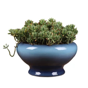 Cache-pot porcelaine émaillée grand diamètre pour succulentes décoration intérieure