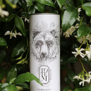 Le bouquet de l&rsquo;ours