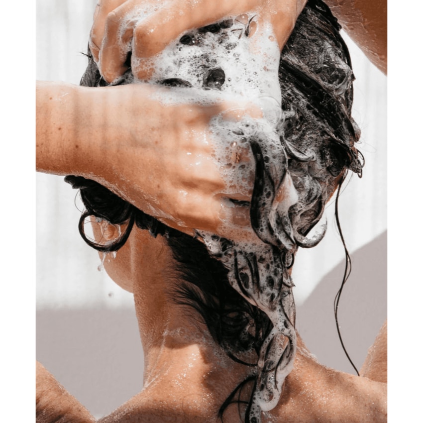 Shampoing – On The Wild Side – Image 5